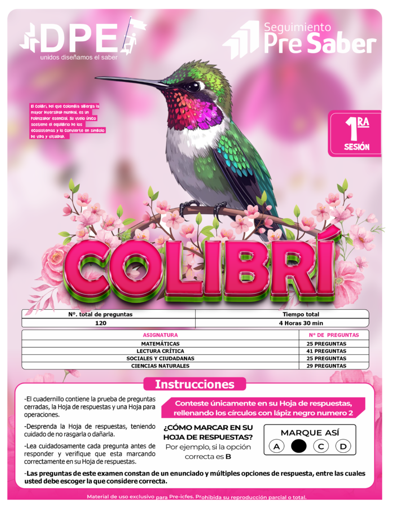Colibrí