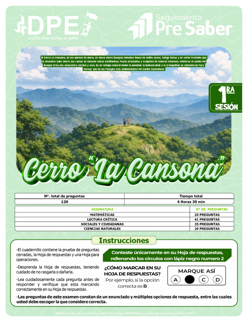 La Cansona